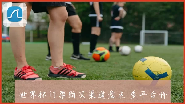 世界杯门票购买渠道盘点 多平台价格服务对比分析